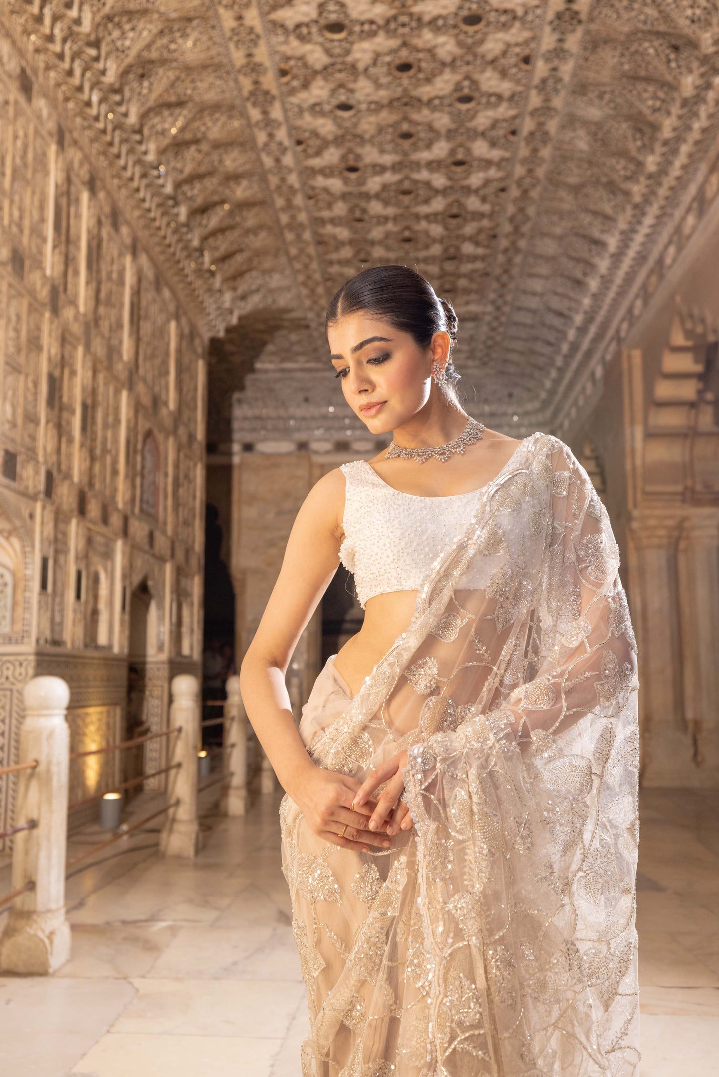 Sitara Net Saree