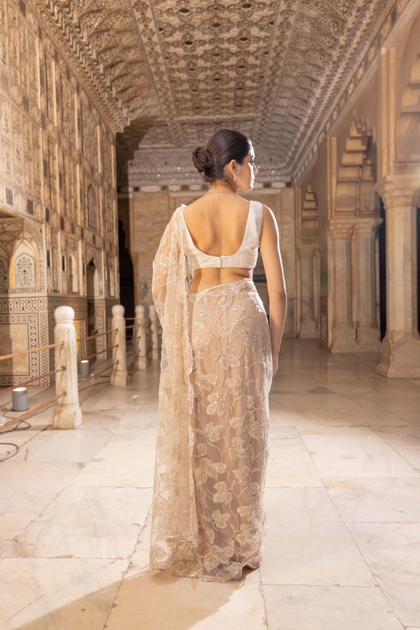 Sitara Net Saree