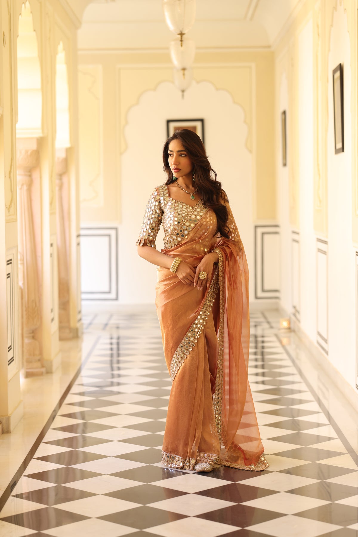 Silk Tissue Saree