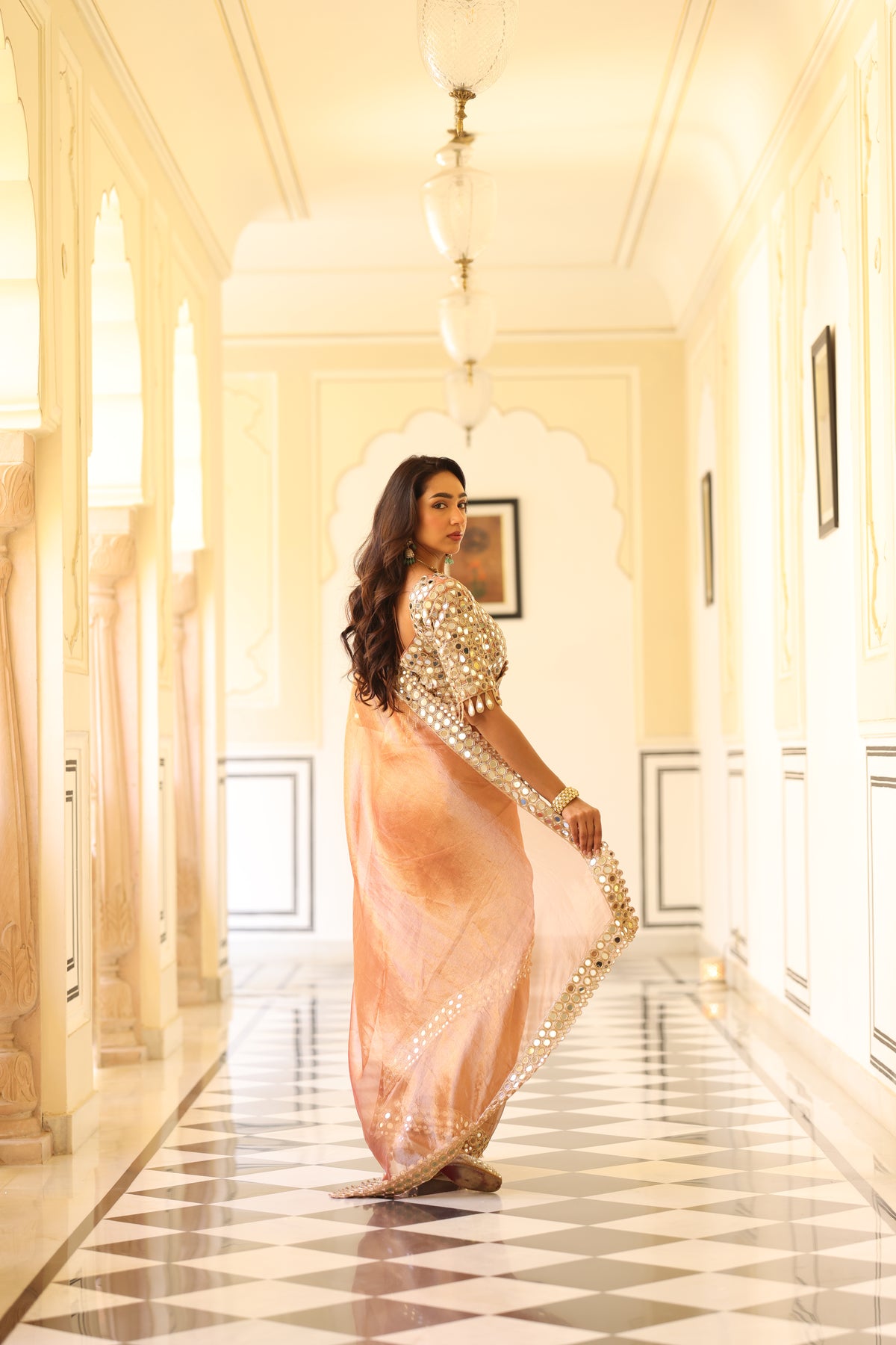 Silk Tissue Saree