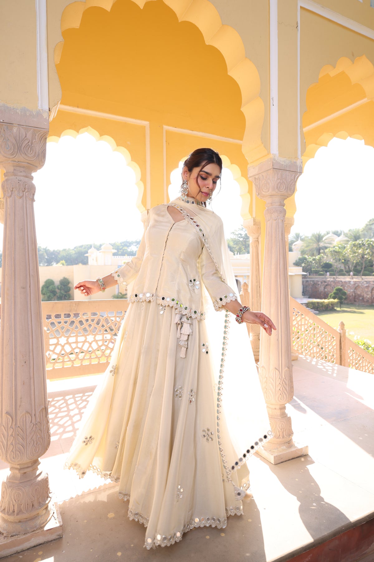 Silver- Gold Tissue Silk Mirror Work Lehenga Set